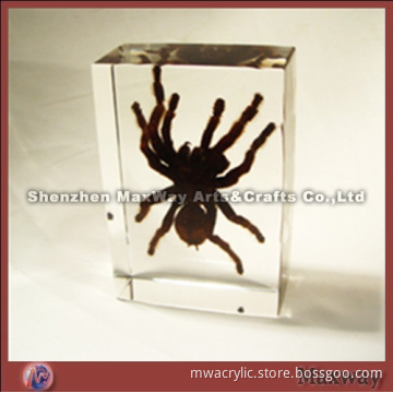 Ingenious Acrylic/Lucite Trophy/Letterweight/Gift with a Spider In It